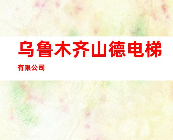乌鲁木齐山德电梯有限公司
