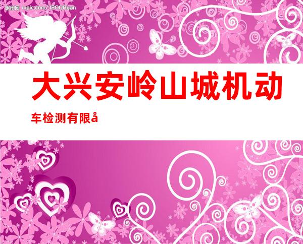 大兴安岭山城机动车检测有限公司