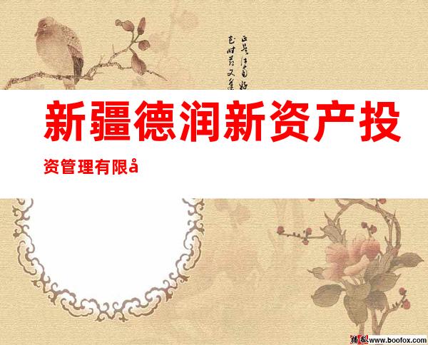 新疆德润新资产投资管理有限公司