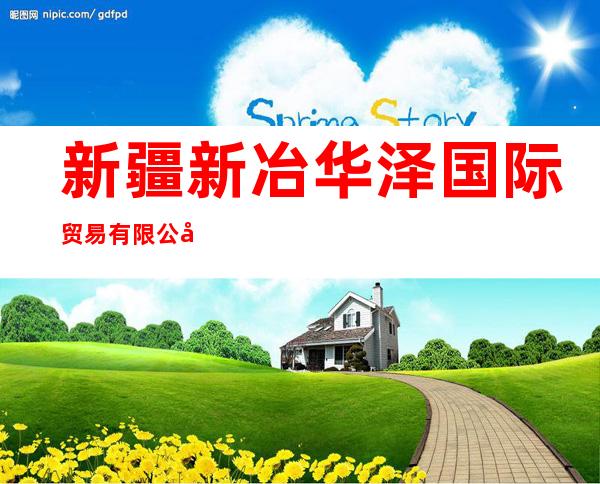 新疆新冶华泽国际贸易有限公司