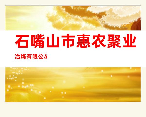 石嘴山市惠农聚业冶炼有限公司