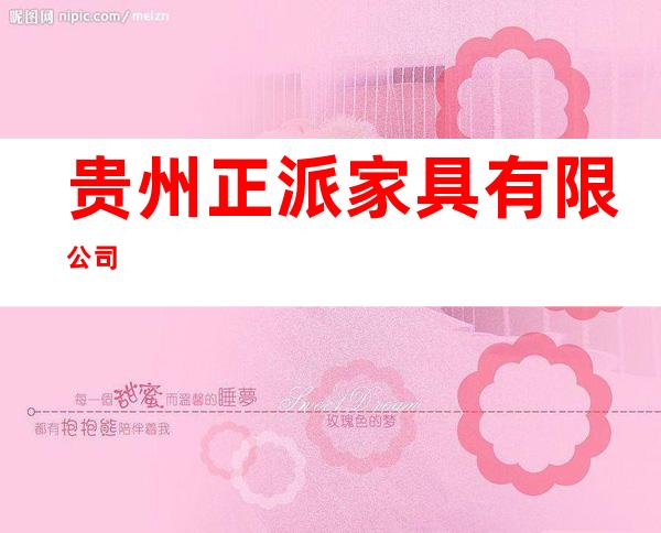 贵州正派家具有限公司